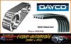 DAYCO POLY RIB BELT/ 4PK-940