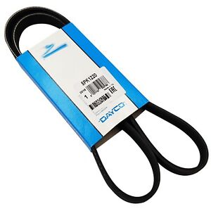 Z-5PK-1220-1.jpg DAYCO POLY RIB BELT/ 5PK-1220