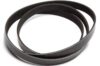 DAYCO POLY RIB BELT/ 5PK-510