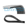 DAYCO POLY RIB BELT/ 6PK-1855
