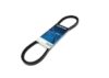 DAYCO POLY RIBBED BELT/ 6PK-1955