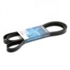 DAYCO POLY RIBBED BELT (945 K6)/ 6PK-2400
