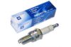 SPARK PLUGS