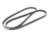 V-RIBBED SERPENTINE BELT 53032037AK/ 6PK-2220