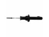 STRUT FRONT/ 71377