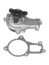 WATER PUMP 88879884/ 252-929