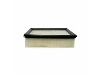 SP-A-1604C-1.jpg AIR FILTER, 25320118 /A-1604C