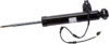 SHOCK ABSORBER REAR Left Hand / 84002183