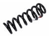 COIL SPRING REAR/ 23498307