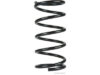 COIL SPRING REAR/ 96858414